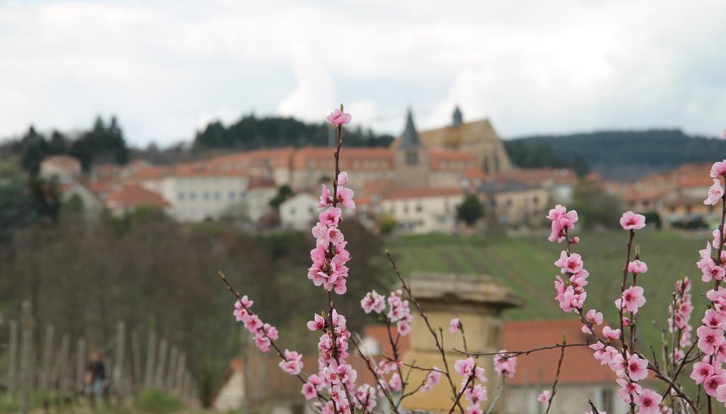 Gites Le Lancelot Ambierle Dış mekan fotoğraf